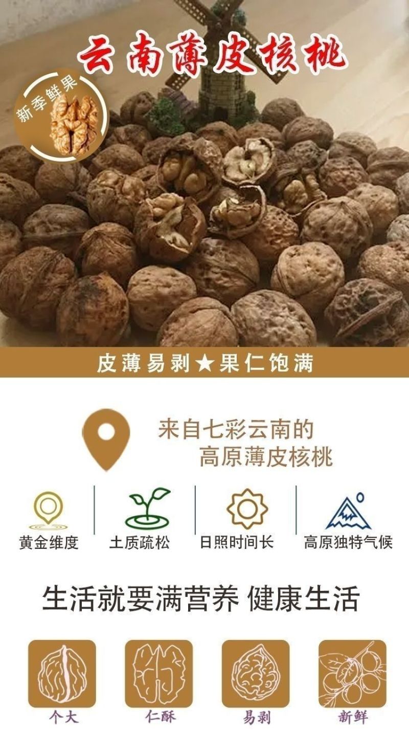 云南薄皮核桃大果