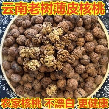 云南薄皮核桃大果