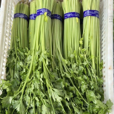 香芹