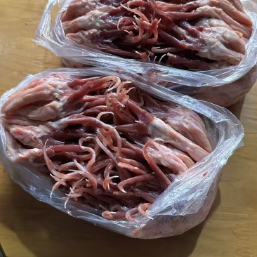 一级大鸭舌