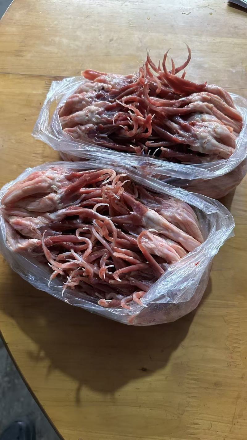 一级大鸭舌