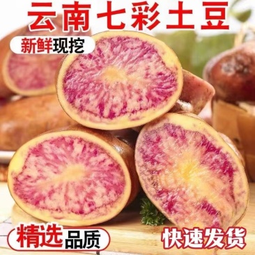 云南七彩土豆2—3两中果