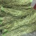 贡菜干；三级贡菜；云南高山贡菜网店通用贡菜；一手货源批发商
