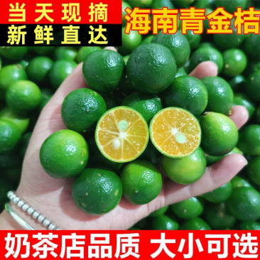 海南小青柠青桔，可代办，可一件代发