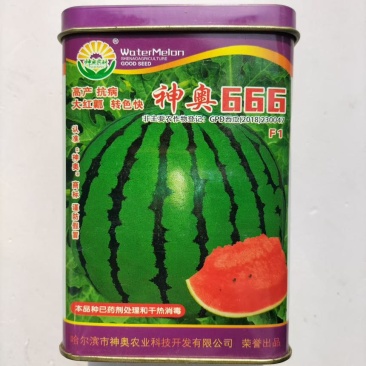 神奥999西瓜种子中晚熟高产大果绿皮红瓤皮薄甜脆地雷西瓜种子