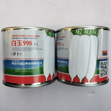 白玉998白萝卜种子优质早熟高产抗病商品性佳农家秋季播