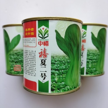 禧夏二号青梗菜种子高产一代杂交耐热耐湿优质青菜种子上海青种孑