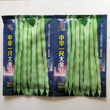 中华一尺大金豆架豆王种子高产早种熟四季豆角种子春秋播蔬菜种子