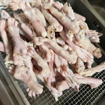 漂亮的兔爪爪
