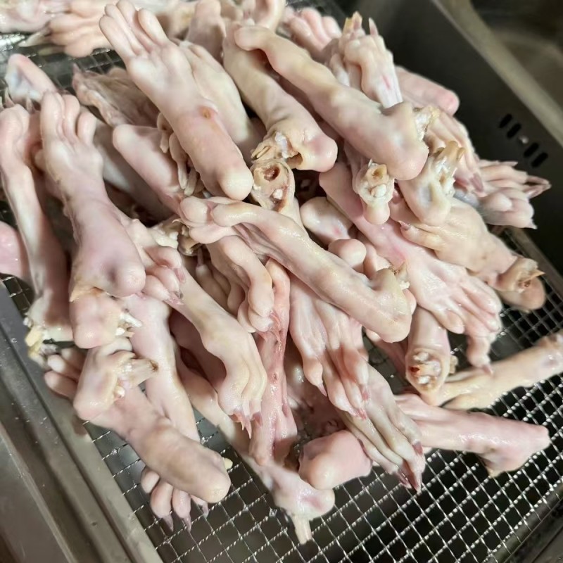 漂亮的兔爪爪