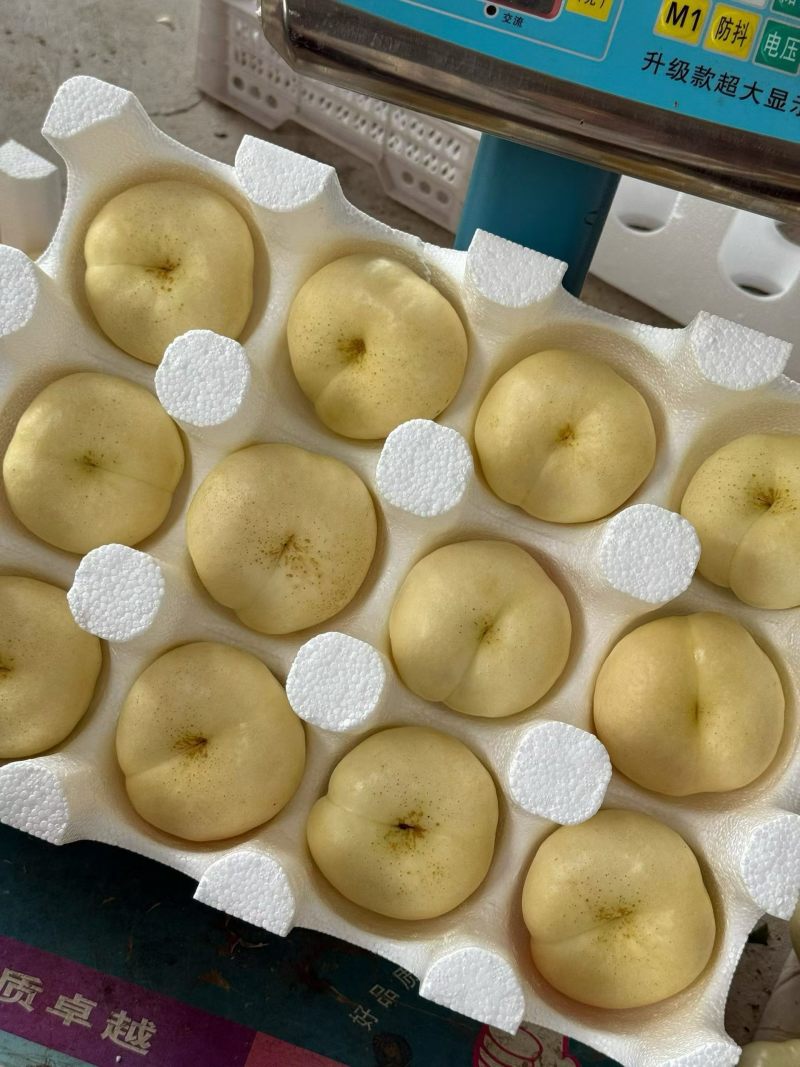 精工手检果蒙阴蜜桃假一赔十