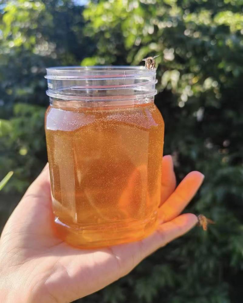 【推荐】土蜂蜜蜂蜜浓稠透亮清甜绵柔对接商超超市