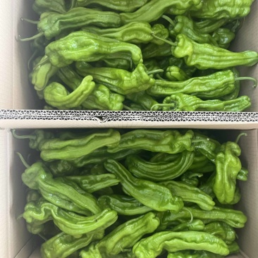 芜湖椒