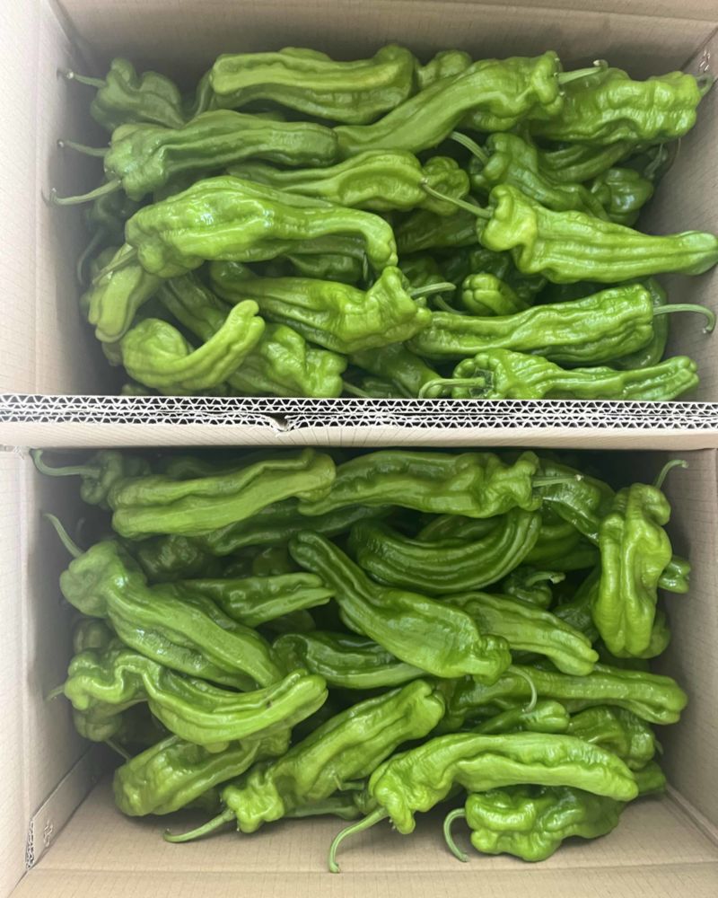 芜湖椒