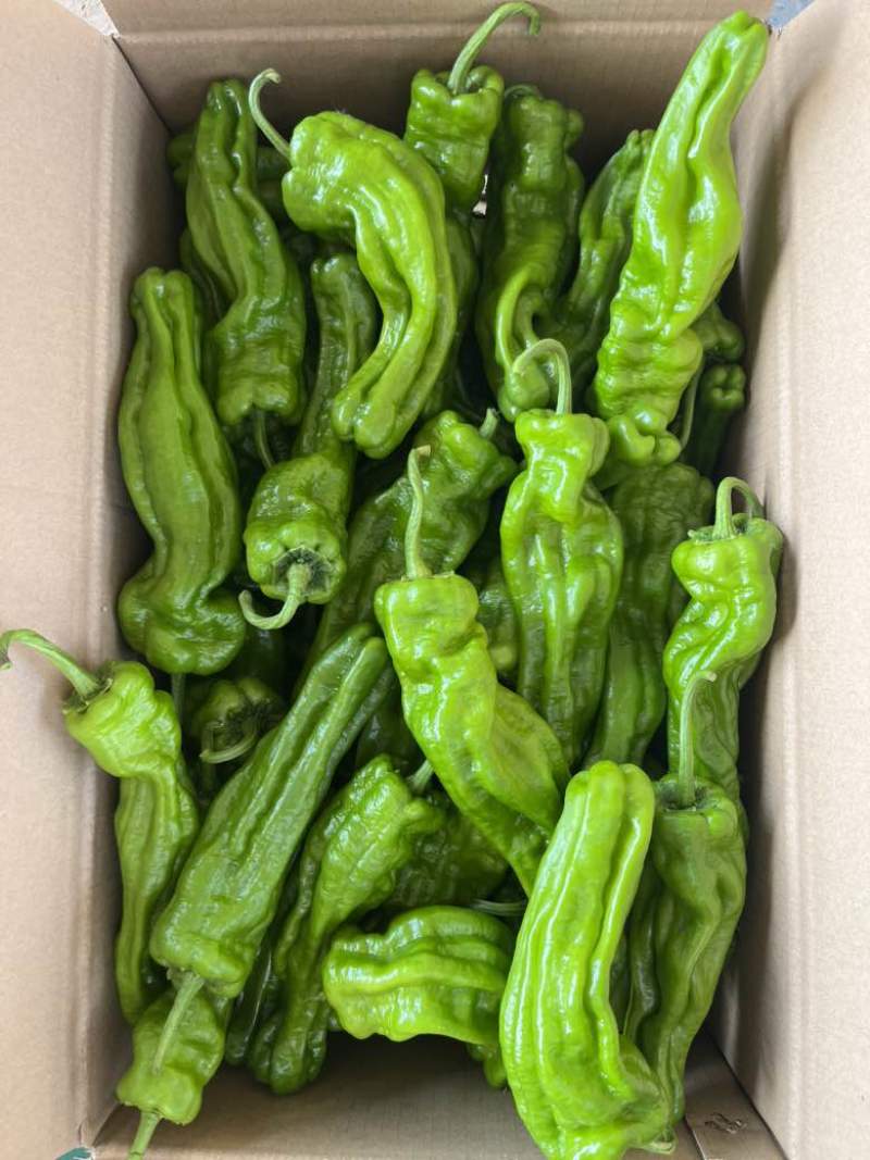 芜湖椒