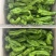 芜湖椒