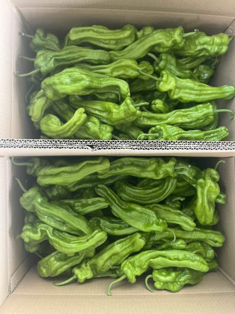 芜湖椒