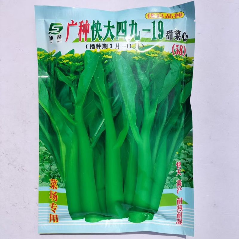 广种快大四九甜菜心种子高产耐热耐湿叶卵形淡绿柄短有光泽纤维少