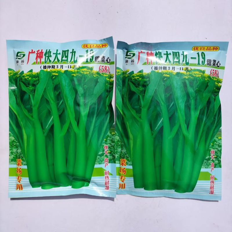 广种快大四九甜菜心种子高产耐热耐湿叶卵形淡绿柄短有光泽纤维少