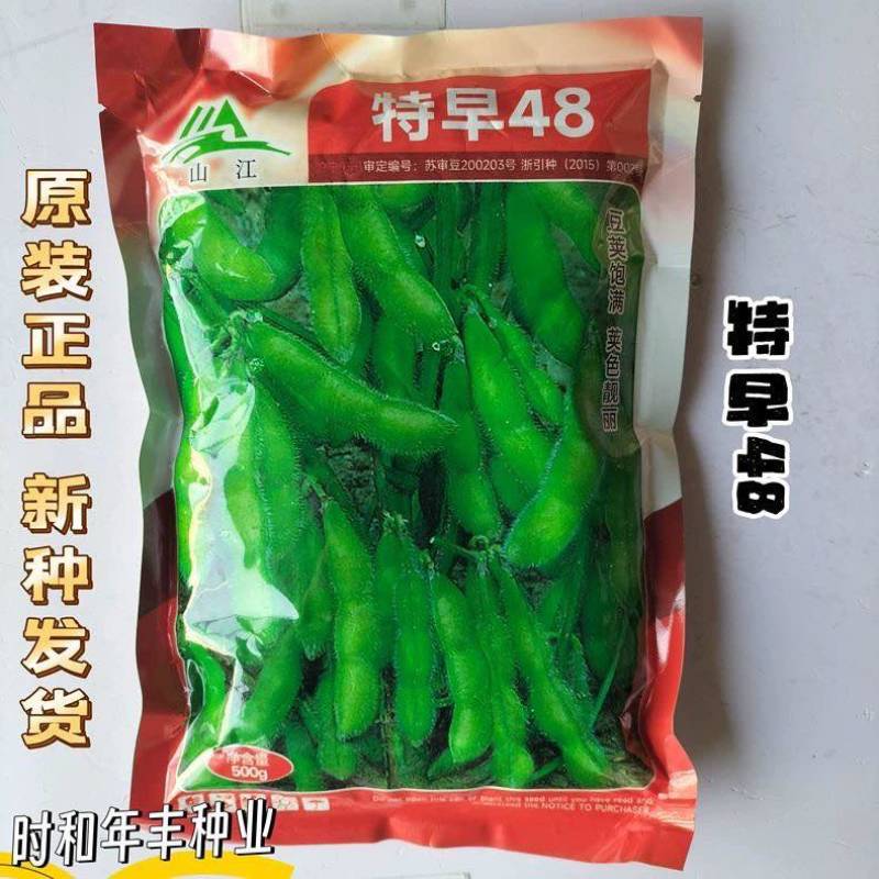 特早48毛豆种子早熟高产抗病菜用青豆菜种子春季蔬菜种子大豆种