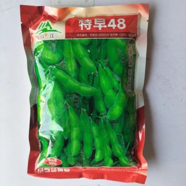 特早48毛豆种子早熟高产抗病菜用青豆菜种子春季蔬菜种子大豆种