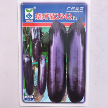 烧烤茄2542中熟茄子种子果型粗中长顺直整齐度好耐贮