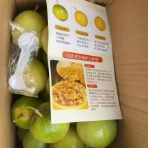百香果钦蜜9号全平台一件代发，欢迎各位老板咨询