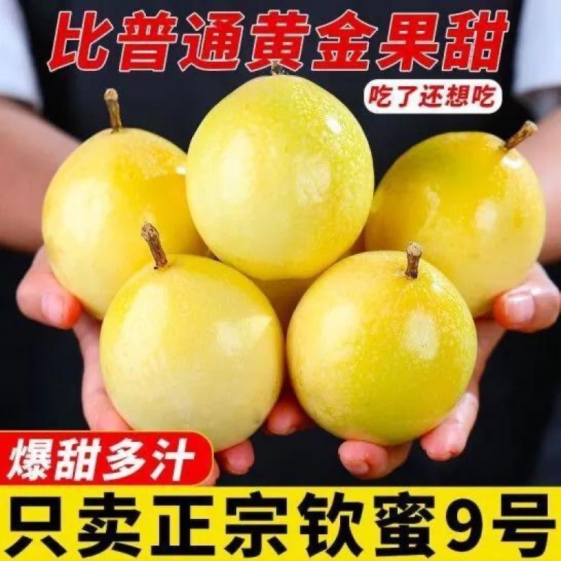 百香果钦蜜9号全平台一件代发，价格美丽！