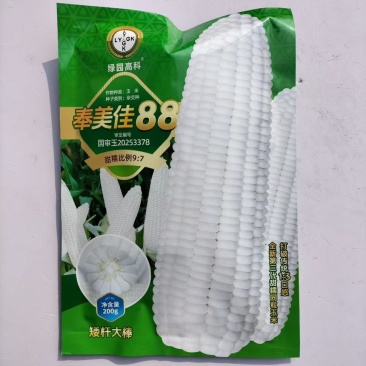 奉美佳88白甜糯玉米种籽大棒非转矮杆甜糯同粒白粘糯玉米种子