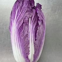 紫白菜