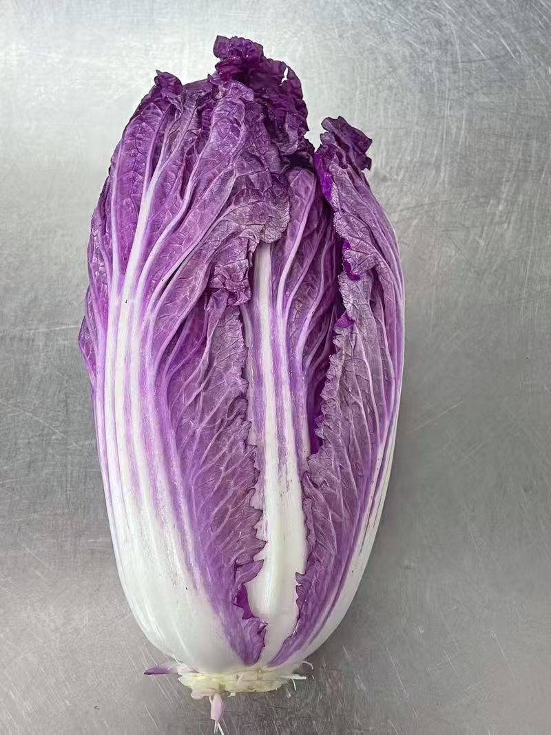 紫白菜