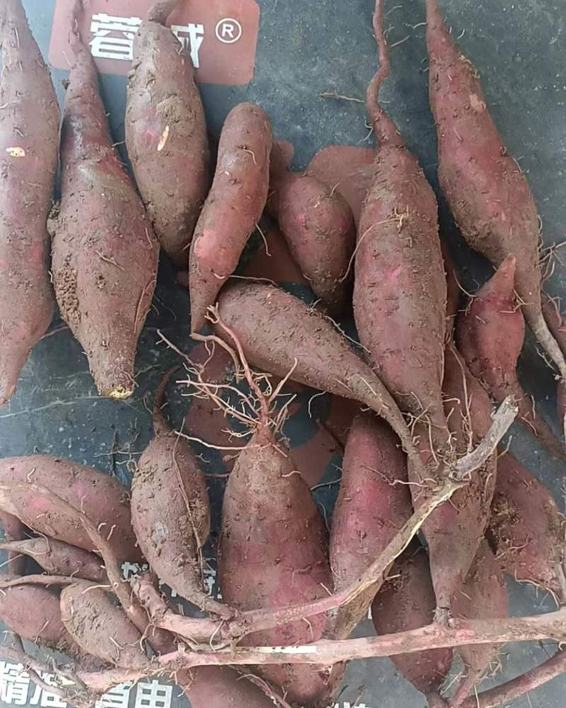 榴莲蜜薯统货