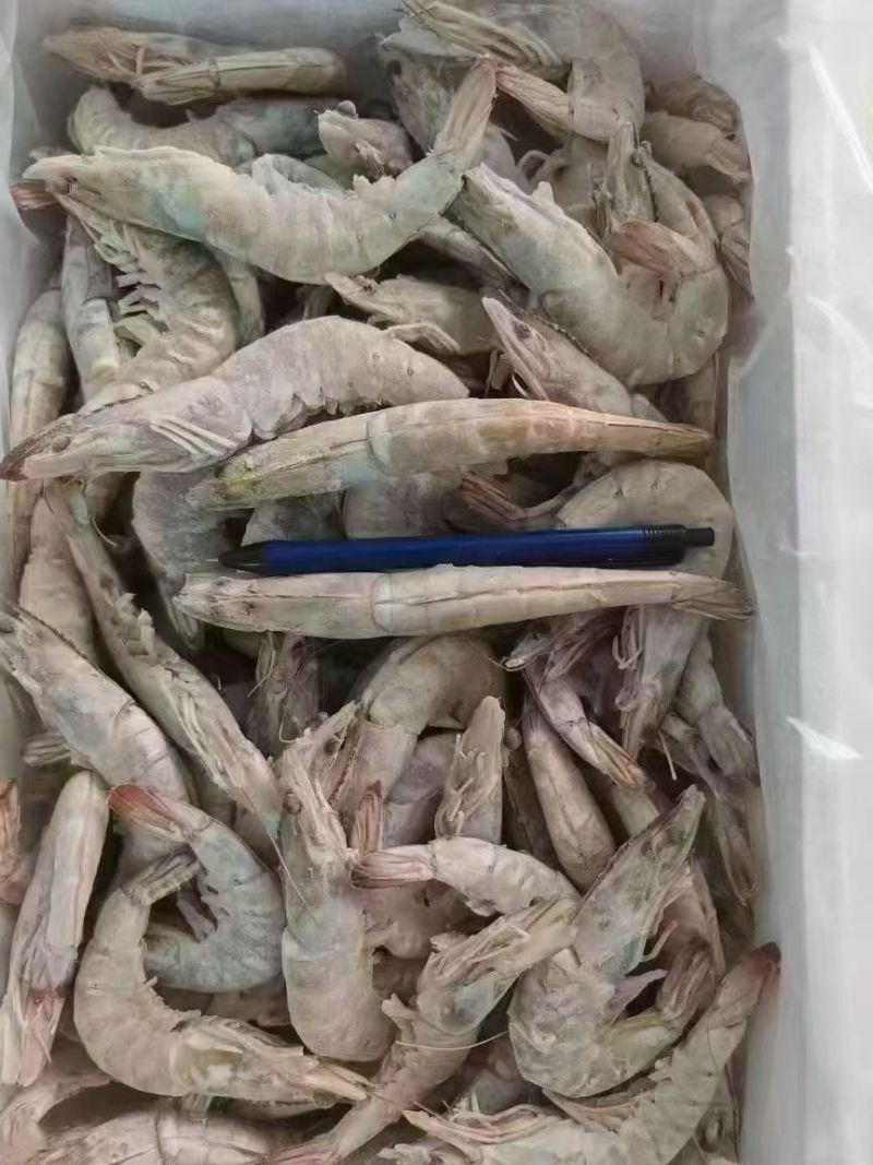 开背虾/各规格/厂家直销