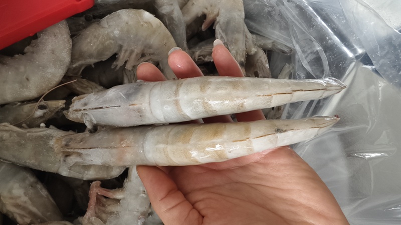 开背虾/各规格/厂家直销