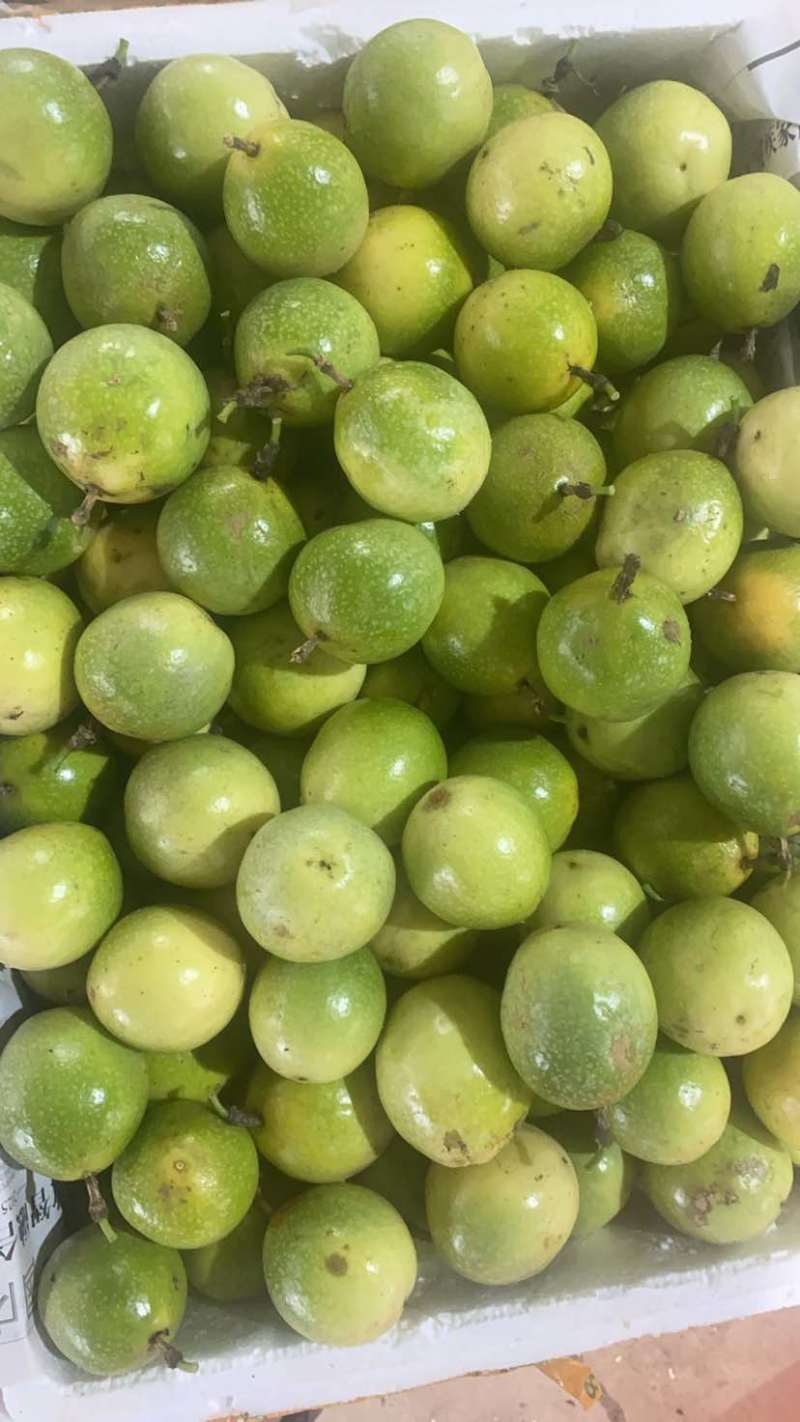 黄金百香果