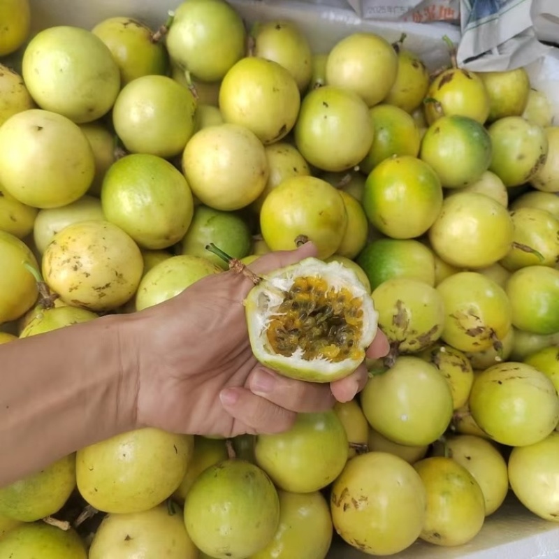 黄金百香果
