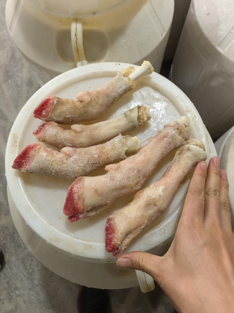 新鲜羊蹄子山羊蹄冰鲜羊蹄