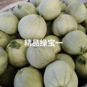 头茬绿宝甜瓜，0.5-1.5