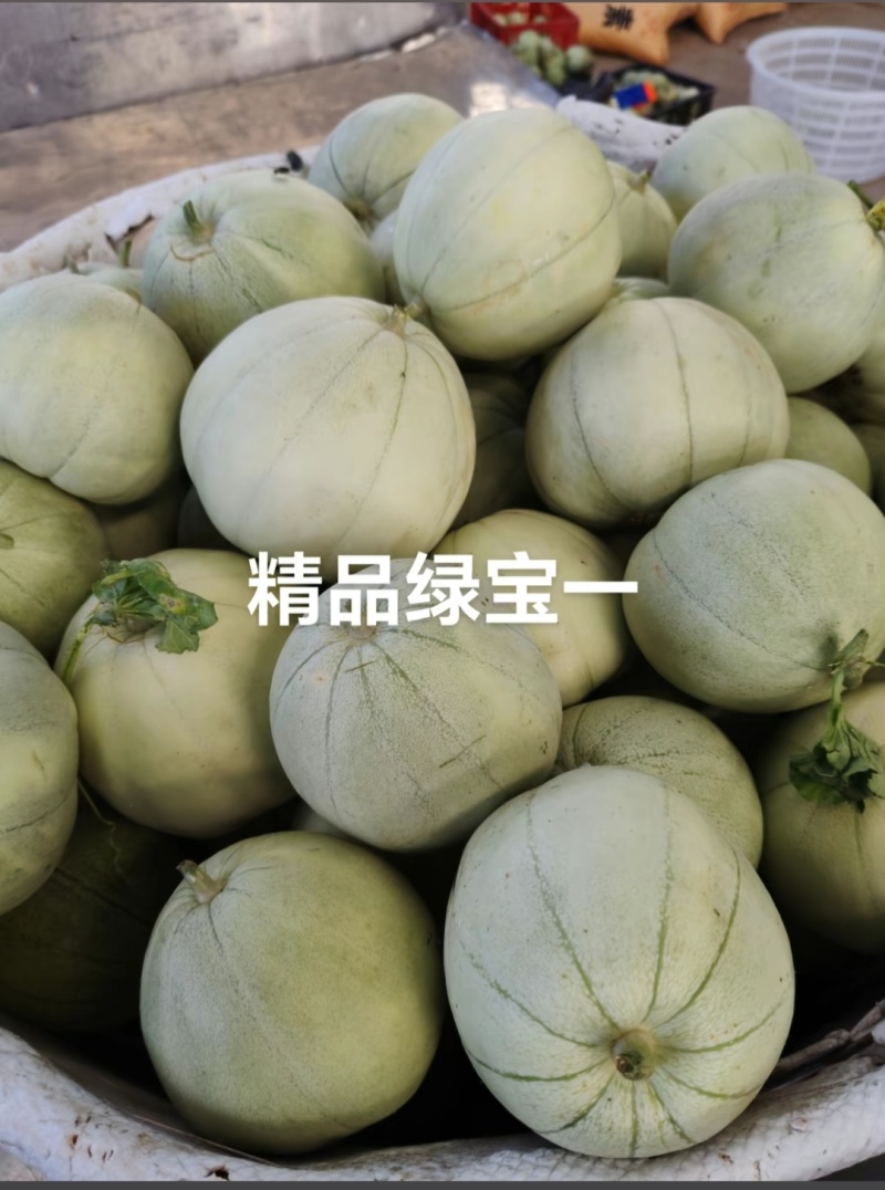 头茬绿宝甜瓜，0.5-1.5