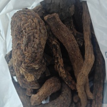 肉苁蓉