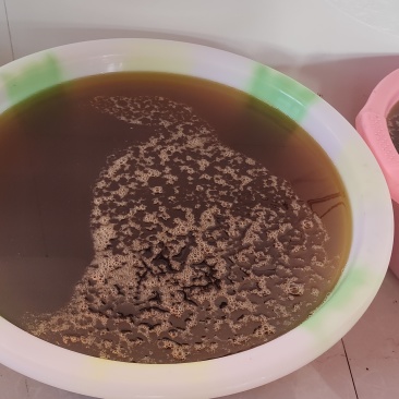 农家自产自销的，173纯胡麻食用油，0934***5225电