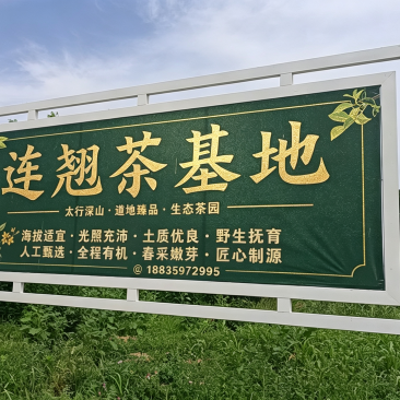 绛老寿茶，源自长寿之乡绛县，中条山野生连翘。天然纯粹。