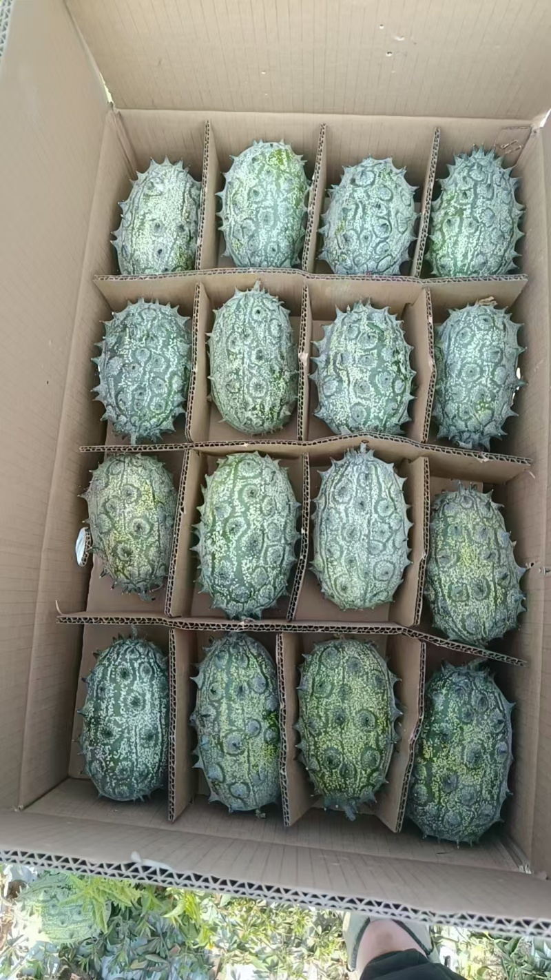 正宗非洲火参果新鲜灭霸同款水果低糖水果刺角瓜现货基地供货
