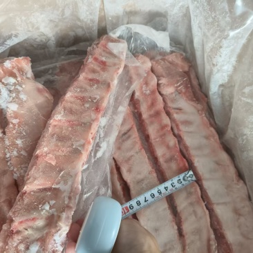 肥猪寸排量大可议