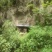 中蜂蜜
