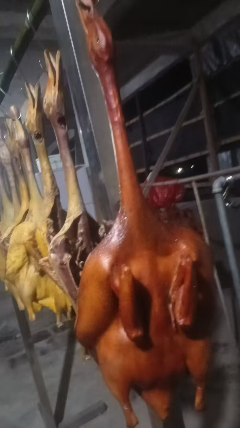 腊肉板鸭
