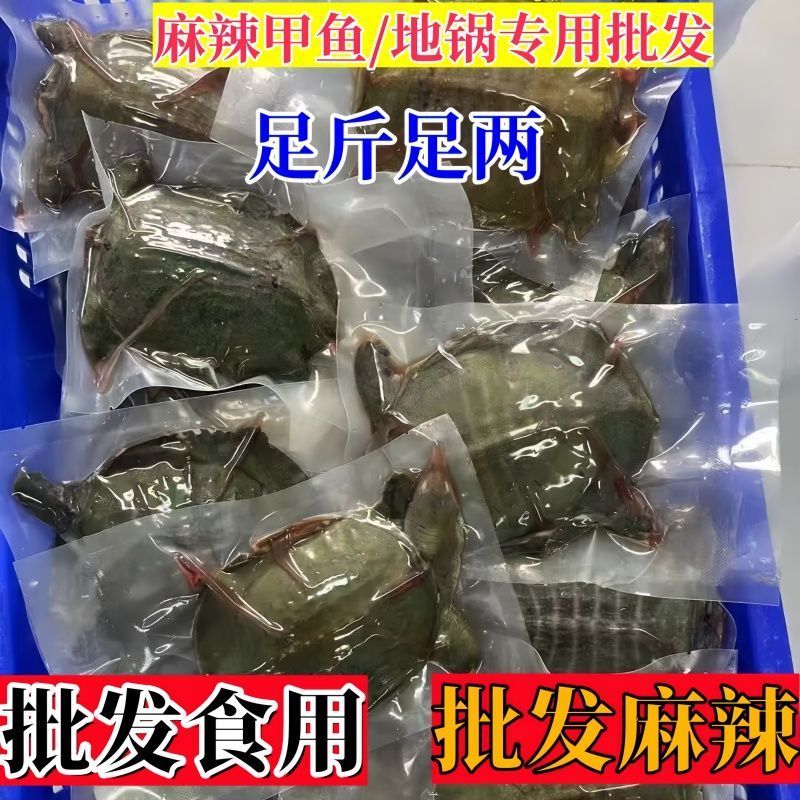 鲜活宰杀甲鱼生坯