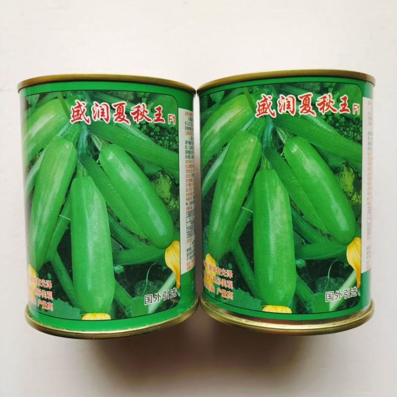 盛润夏秋王早熟耐热抗病长势健壮易座瓜产量高西葫芦种子春季