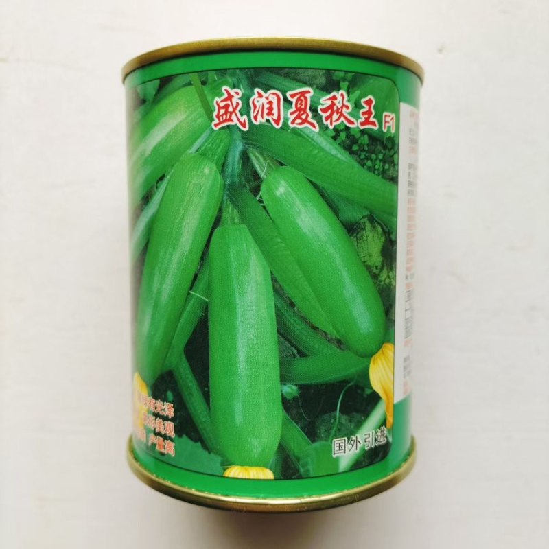 盛润夏秋王早熟耐热抗病长势健壮易座瓜产量高西葫芦种子春季