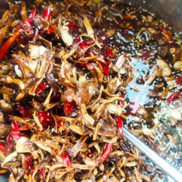500克装纯手工制作赤松茸油